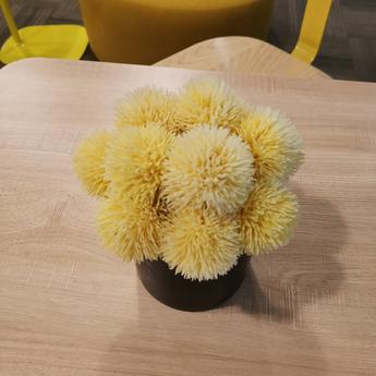 刑育森于2020-05-28 02:54发布的图片