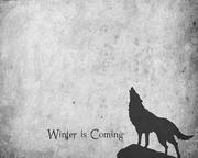 RyougiShiki100905的个人资料头像