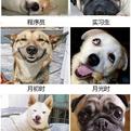 滚筒洗衣机_于2020-05-29 10:05发布的图片
