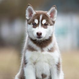 边城浪子在掘金于2020-05-29 07:50发布的图片