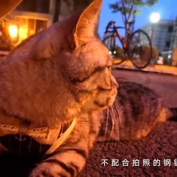 熏悟空的孙于2020-05-29 11:48发布的图片