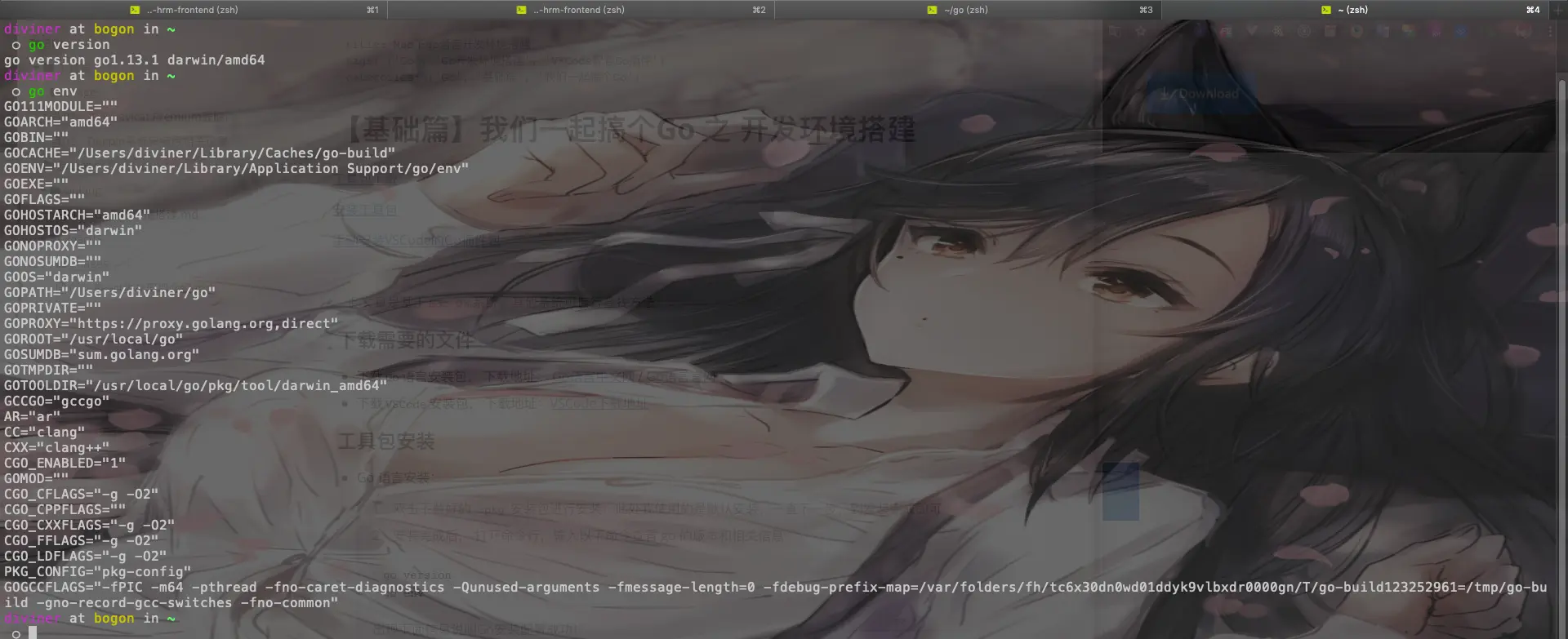 Go版本和env信息