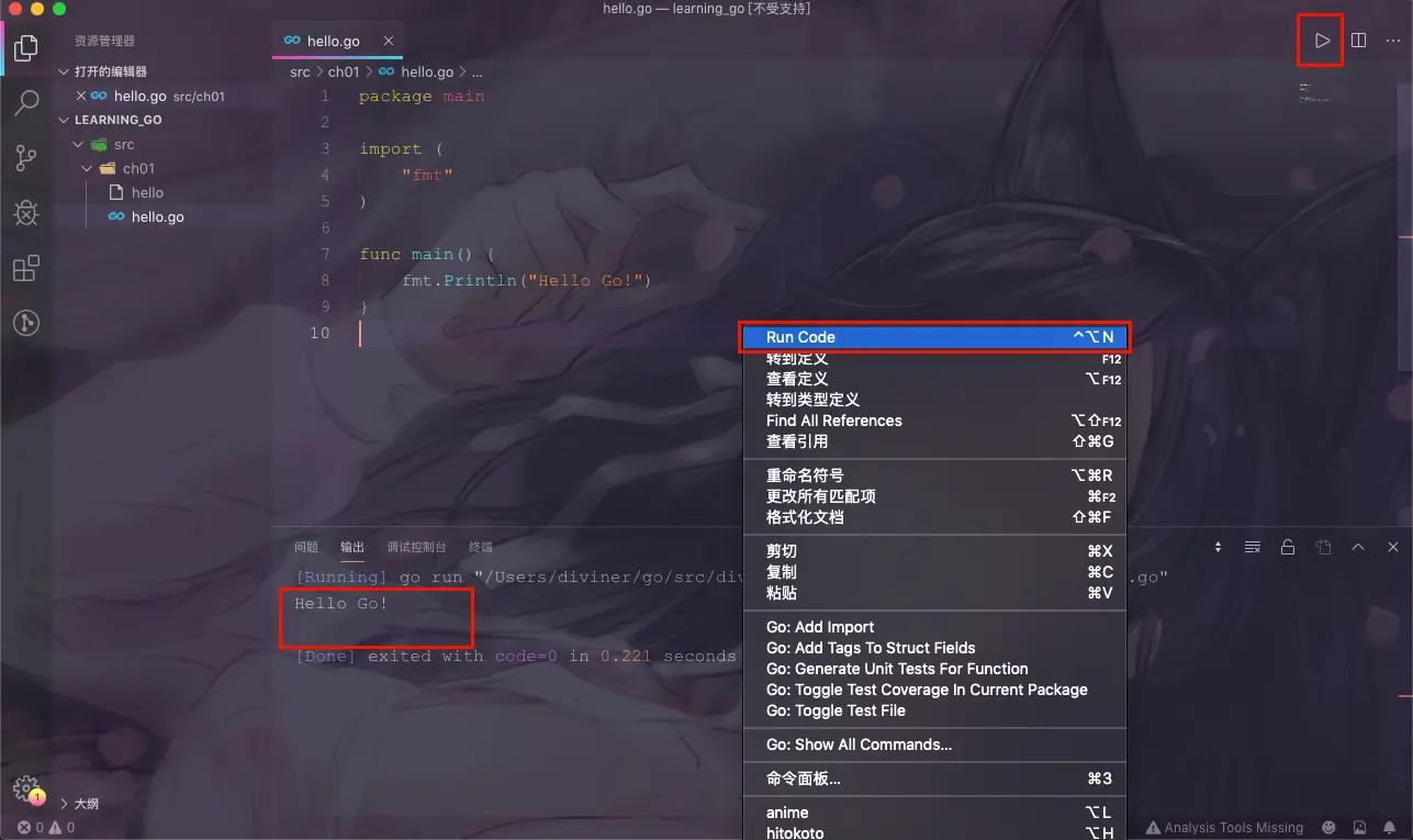 使用CodeRunner运行程序