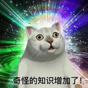 Xelawk的个人资料头像