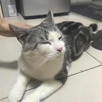 ZENGL于2020-05-29 23:06发布的图片