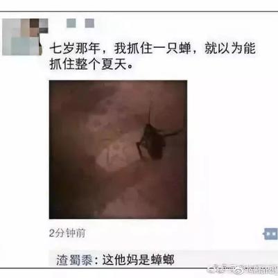 小肥鸭于2020-05-03 10:44发布的图片