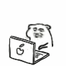 菁芜于2020-05-03 14:27发布的图片