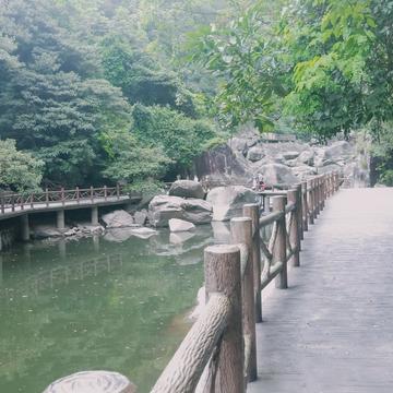 幸福的小米虫于2020-05-03 17:56发布的图片