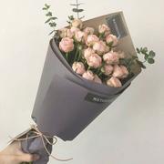 涵sue的个人资料头像