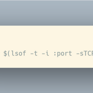 花生炒花生于2020-05-31 10:41发布的图片