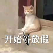 想当码农的老师的个人资料头像