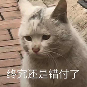 Jacs的个人资料头像