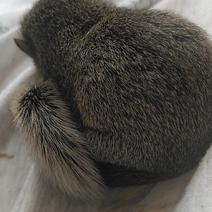 wangsiyu1997于2020-05-04 10:43发布的图片