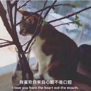 thirteen_hero的个人资料头像