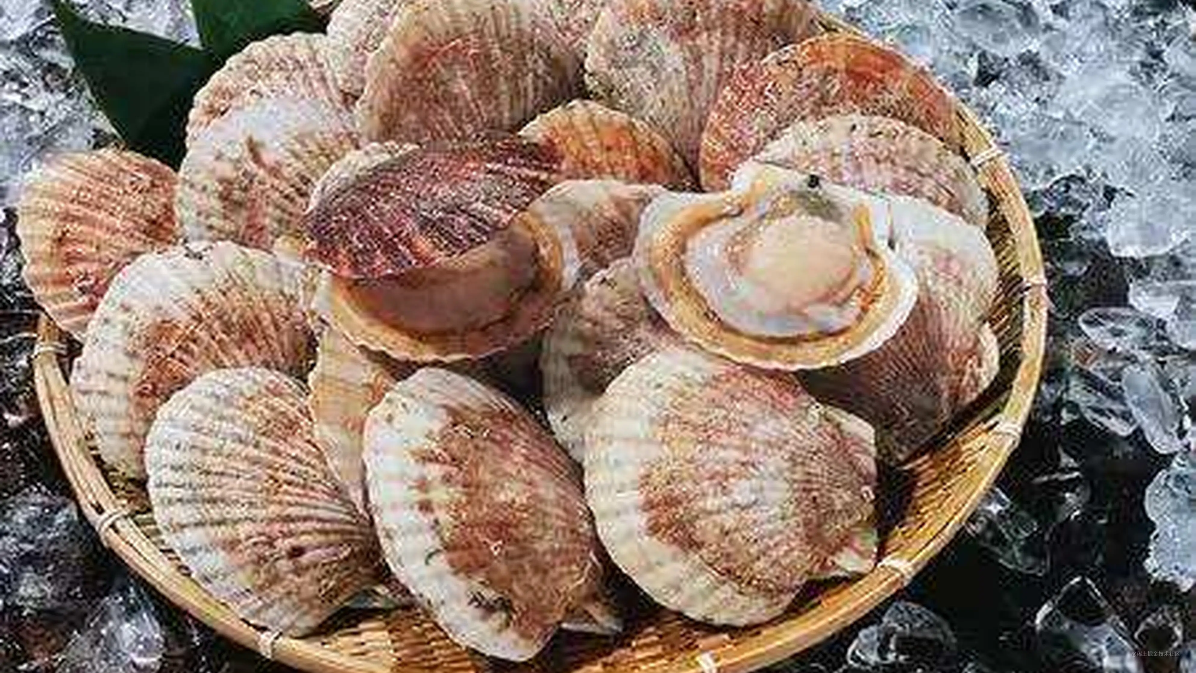 Bash 的4种运行模式 掘金