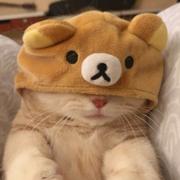 Amys105839的个人资料头像