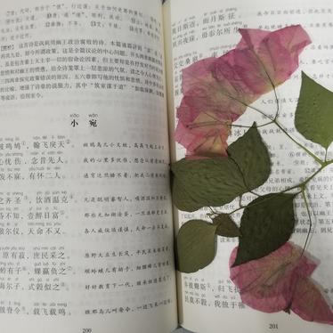 爱薪掘萝于2020-05-04 23:17发布的图片