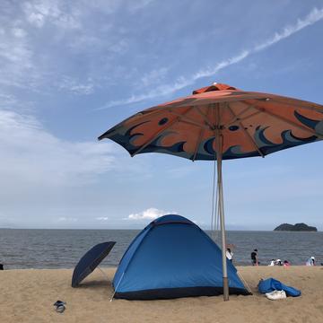 业精于勤于2020-05-05 19:44发布的图片