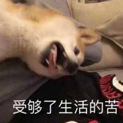 Killer_DoraLi于2020-05-05 23:27发布的图片