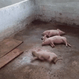 Asmer于2020-05-06 09:21发布的图片