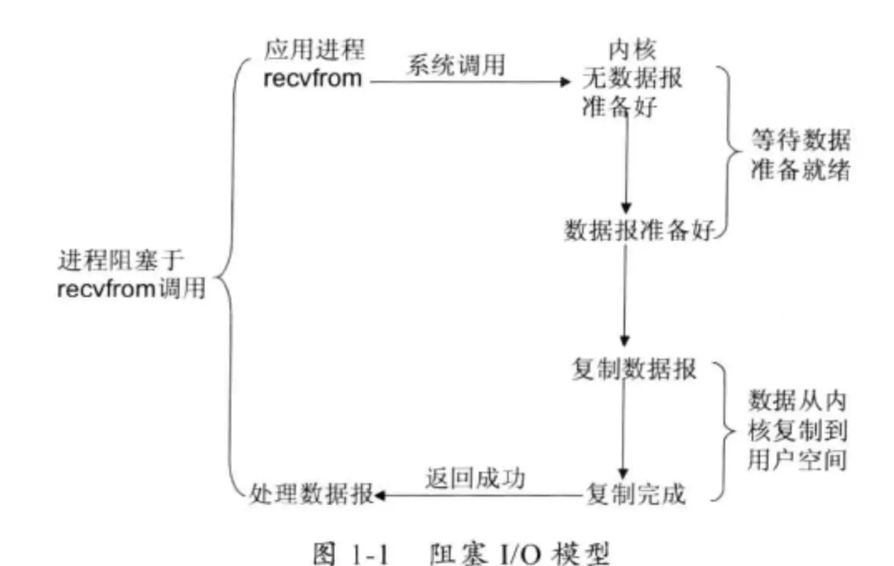 BIO模型