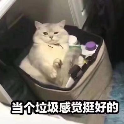 DogDogSuiSui于2020-05-06 11:40发布的图片