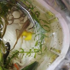 baby张于2020-05-06 15:02发布的图片