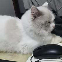 叶子嘞于2020-05-06 20:33发布的图片