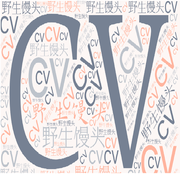 野生馒头的个人资料头像