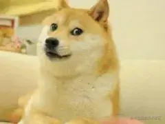 这么好用的离线OCR项目，我要摁头安利给你！