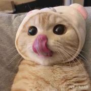 一路独行的个人资料头像