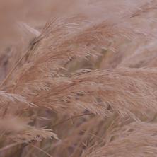 xxxL于2020-05-07 09:15发布的图片