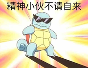 mays的个人资料头像