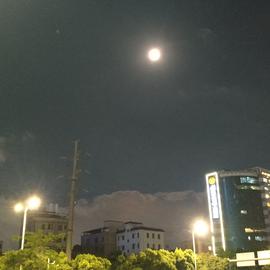 吕氏春秋于2020-05-07 21:47发布的图片