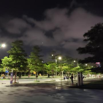 翻跟斗爱好者于2020-05-07 22:39发布的图片
