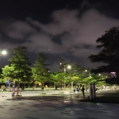 翻跟斗爱好者于2020-05-07 22:39发布的图片