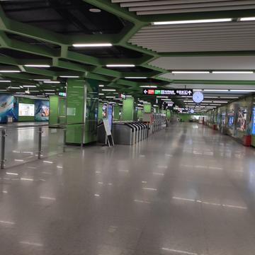 翻跟斗爱好者于2020-05-07 22:39发布的图片