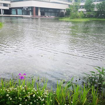 钮祜禄黄于2020-05-08 13:32发布的图片
