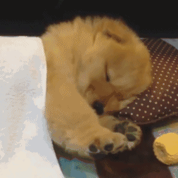 魔都知青胖虎于2020-05-09 08:34发布的图片