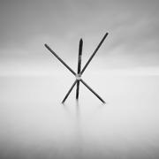 M_Jay的个人资料头像