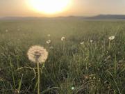 夜歌灬的个人资料头像