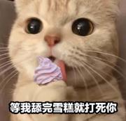 脸色大的猫的个人资料头像