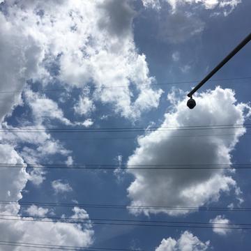 少管我于2020-06-01 15:08发布的图片