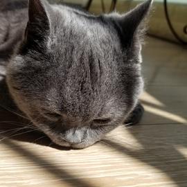 leondon于2020-06-01 15:32发布的图片