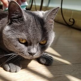 leondon于2020-06-01 15:32发布的图片