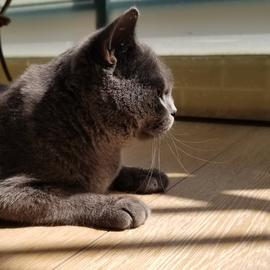 leondon于2020-06-01 15:32发布的图片