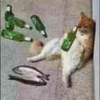 逐风丶肆于2020-06-10 10:10发布的图片