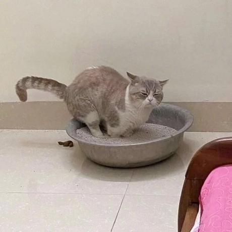 辰枫于2020-06-10 12:58发布的图片