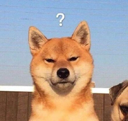 杨大侠就是小仙女的个人资料头像