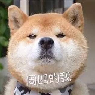 南有山海于2020-06-11 03:13发布的图片